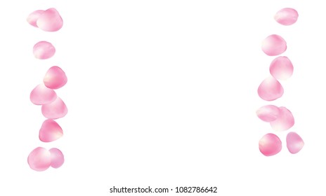 Wedding Sakura Cherry, Rose Petals Floral Confetti. Spring Vector Peach, Apple Flower Soft Sakura Cherry and Rose Confetti Falling Down. Frangant Floral Design, Natural Cosmetics Background
