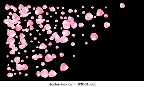 Wedding Sakura Cherry and Rose Petals Realistic Confetti. Shower Vector Peach Apple Blossom Elegant Sakura Cherry and Rose Confetti Falling Down. Windy Floral Design, Natural Cosmetics Background