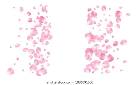 Wedding Sakura Cherry, Rose Petals Nice Confetti. Magic Vector Celebration Design. Elegant Sakura Cherry and Rose Confetti Falling Down. Frangant Floral Design, Natural Cosmetics Background