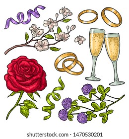 Wedding set vintage color vector engraving isolated on white. Rose flower with leaves, two bonded rings, serpentine ribbon, clinking glasses champagne, clover, cherry branch. For greeting card, invite