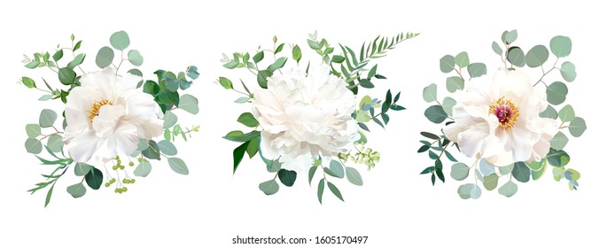 Wedding white flower vector design bouquets. Peony, eucalyptus, greenery garden flowers set. Floral border spring collection. Elegant summer watercolor style. All elements are isolated and editable