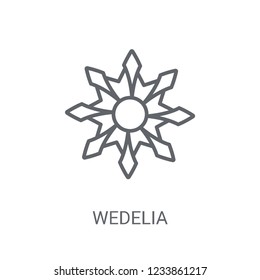 Wedelia icon. Trendy Wedelia logo concept on white background from Nature collection. Suitable for use on web apps, mobile apps and print media.