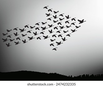 A wedge of birds indicates the direction of the arrow. Vector illustration