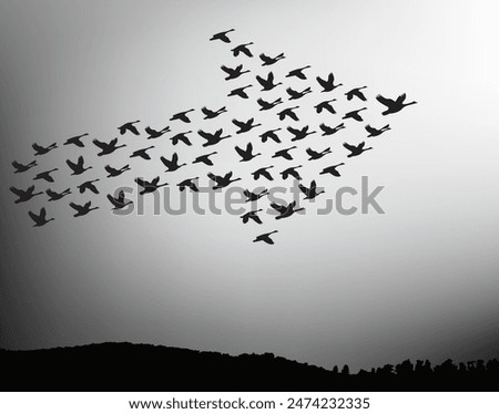 A wedge of birds indicates the direction of the arrow. Vector illustration
