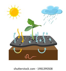 Sistema de control de malezas con película de plástico negro. Tecnología agrícola. Cubiertas vegetales. Tejidos supresores de maleza. Ilustración del vector aislada en fondo blanco