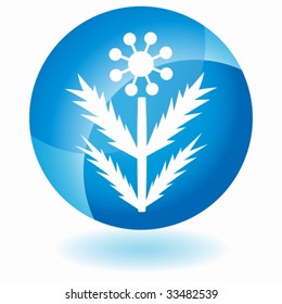 vidrio de hierba