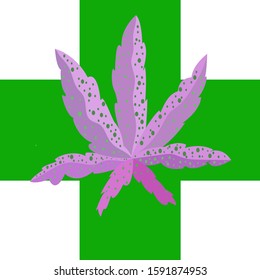 Weed kush strain leaves pattern vector illustration.