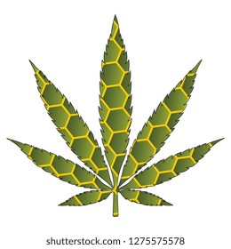 weed leaf green