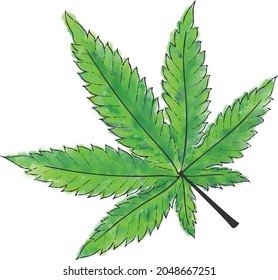 weed leaf watercolor vector drawing