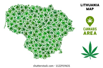Weed Lithuania map collage of marijuana leaves. Narcotic distribution template. Vector Lithuania map is formed of green weed leaves. Abstract geographic plan in green color variations.