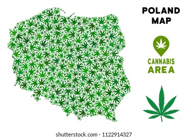Weed Poland map collage of marijuana leaves. Narcotic distribution template. Vector Poland map is shaped of green weed leaves. Abstract area scheme in green color shades.