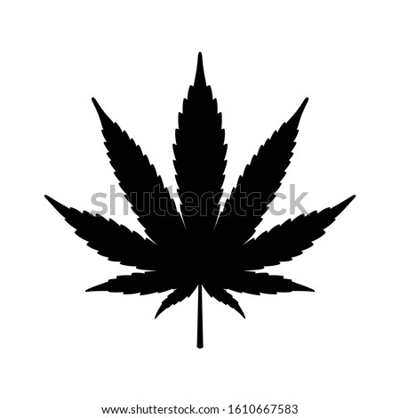 Weed vector Marijuana icon cannabis leaf logo symbol illustration cartoon design