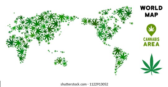 Weed world map collage of marijuana leaves. Narcotic addiction template. Vector world map is constructed of green grass leaves. Abstract geographic scheme in green color tints.
