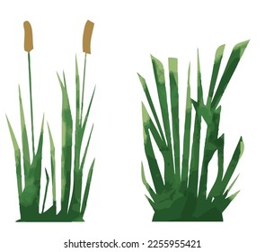 
weeds and aquatic plants vector, in cartoon style.