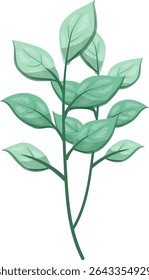 Ervas daninhas Folhas de Oblong, bonitas e frescas