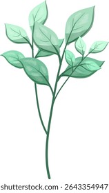 Weeds Oblong leaves, beautiful and fresh