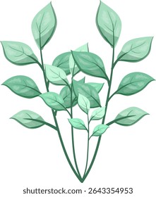 Ervas daninhas Folhas de Oblong, bonitas e frescas