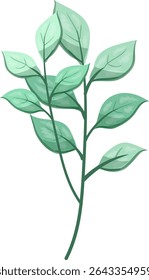 Weeds Oblong leaves, beautiful and fresh
