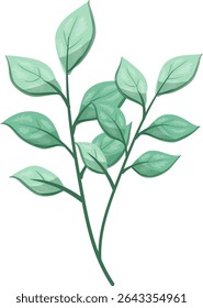 Ervas daninhas Folhas de Oblong, bonitas e frescas