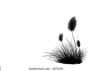 weeds sketch lawn grass contour weeds sketch lawn plant vegetation nature grass landscape vine spring season wild black foliage edge earth leaf field wilderness scenery garden silhouette flora art bor