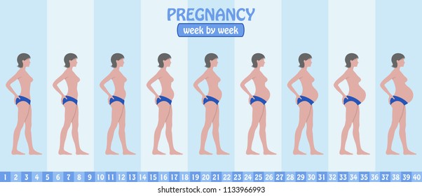 Week by week pregnancy stages of pregnant woman with pants. All the objects and body stages are in different layers and the text types do not need any font. 