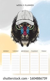 Weekly organizer with monkey in hat and glasses, basis planner template universal and modern
