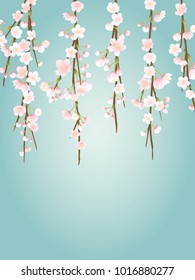 Weeping cherry blossom vector background.