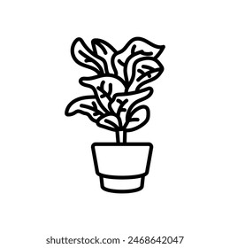 Weeping Fig Isolated Icon, vector illustration