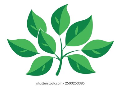 Weinen Abb Blatt Farbe Kunst Realistische Studie von anmutigen Blatt Design