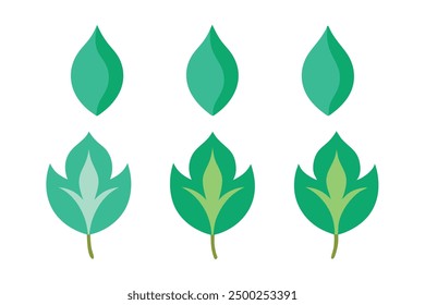 Weeping Fig Leaf Color Art Perfect for Nature Inspired Home Decor
