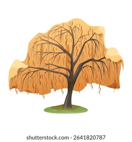 Weeping willow at autumn. Vector salix tree symbol. Sign for forest or wood, park for ecosystem conservation. Nature season for flora. Botany and biology theme. Trunk and timber, wildlife growth.