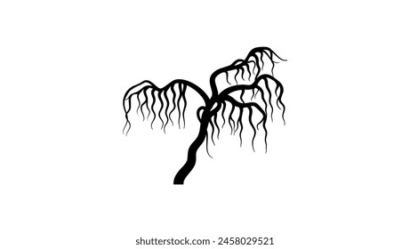 Weeping Willow Bonsai Tree, black isolate silhouette