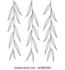 Weeping willow branch. Tree twig. Outline leaves. Isolated vector illustration.