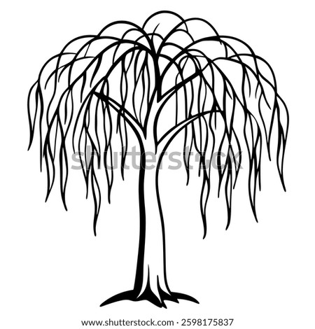 Weeping Willow Line Art – Drooping Branch Illustration