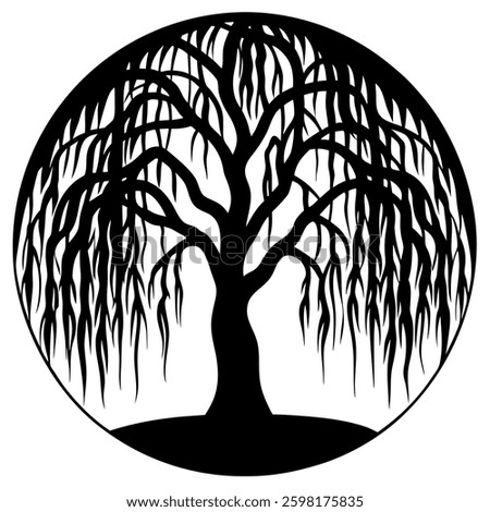 Weeping Willow Silhouette – Cascading Branch Vector Image