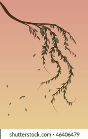 Weeping Willow tree branch background