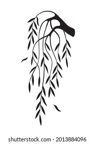 Weeping Willow Tree Branch Silhouette.
Illustration Of Melancholy Motive. Isolated On White Background. Vector Available.