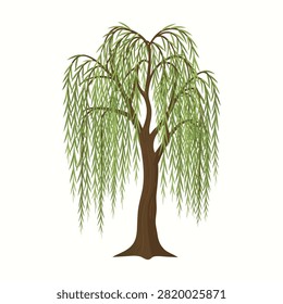 Weeping willow tree drooping branches over grassy ground.