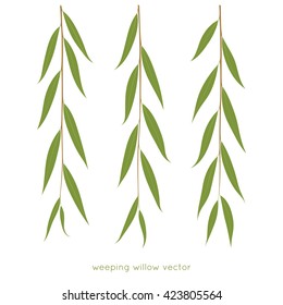 Weeping Willow Twigs. Tree Branches. Various Leaves Shape. Isolated Vector Illustration.