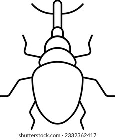weevil beetle bug insect creature Outline