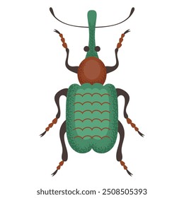 Fusca, inseto verde e marrom. Inseto colorido. Espécie de inseto da natureza e biodiversidade. Ilustração plana do vetor do besouro.