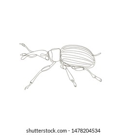 weevil beetle. one continuous line. one line. contour vector