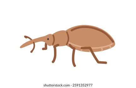 Weevil cartoon clipart. Cute true weevil (Curculionidae) vector illustration. Animal in flat style. Insects and anthropods concept isolated on white background