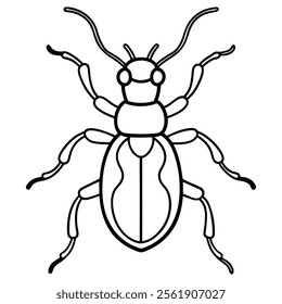 weevil insect flat vector illustration on white background