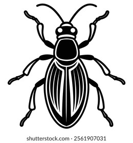 weevil insect flat vector illustration on white background