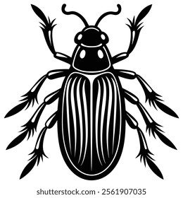 weevil insect flat vector illustration on white background