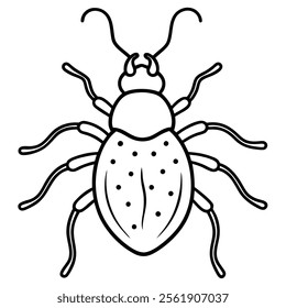 weevil insect flat vector illustration on white background