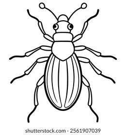 weevil insect flat vector illustration on white background