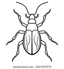 weevil insect flat vector illustration on white background