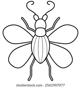 weevil insect flat vector illustration on white background